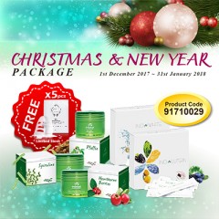 Christmas & New Year Package I